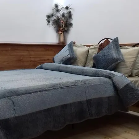 Central 4 Rent Appartement